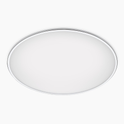 Потолочный светильник Big 2L 0530