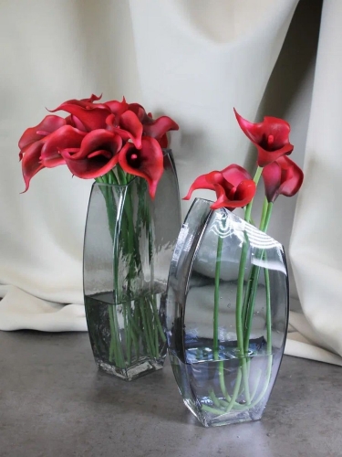 Ваза стеклянная для цветов и сухоцветов  Terra Design TDVBD01