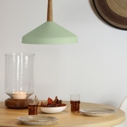 Люстра Roque Aloe