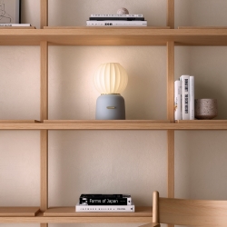 Настольная лампа Mei A серый/золотой