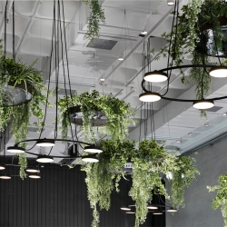 Люстра Aro ARO_3542S 5 L