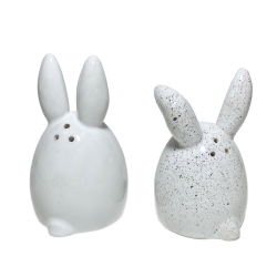 Набор для специй Солонка Перечница Terra Design TDSPB01