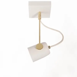 Потолочный/настенный светильник Salter C50 white &amp; gold