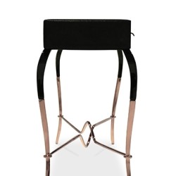 Консоль Luridae