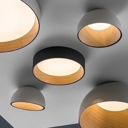 Потолочный светильник Duo 4878