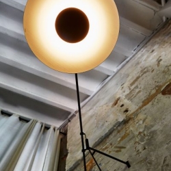 Бра Ginger A XL 42  Plug-in венге-белый