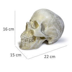 Cтатуэтка-копилка Череп Terra Design Skull SKU10428