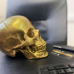 Cтатуэтка-копилка Череп Terra Design Skull SKU12429