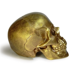 Cтатуэтка-копилка Череп Terra Design Skull SKU12429