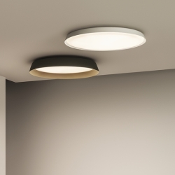 Потолочный светильник Bigger 3910