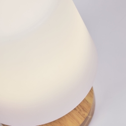 Настольная переносная лампа Ambar из полиэтилена и дерева