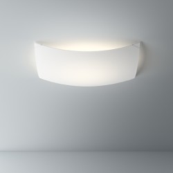 Потолочный/настенный светильник Quadra Ice 1134