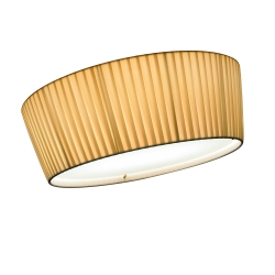 Потолочный светильник Plafonet 60