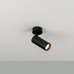 Светильник регулируемый Haul 55 AC C/W черный