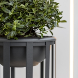 VEGETATION KIT 124027XX7