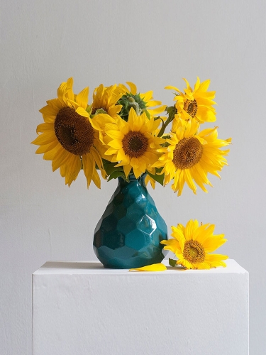 Ваза Hexagon (15*17 cм)/для цветов/декоративные вазы/вазы/дом и дача Terra Design TD-VS-13M