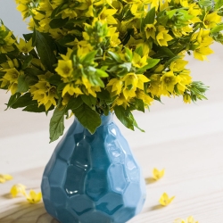 Ваза Hexagon (15*17 cм)/для цветов/декоративные вазы/вазы/дом и дача Terra Design TD-VS-13M