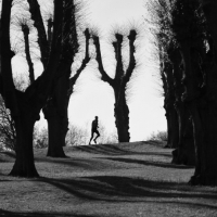 Авторская фотография